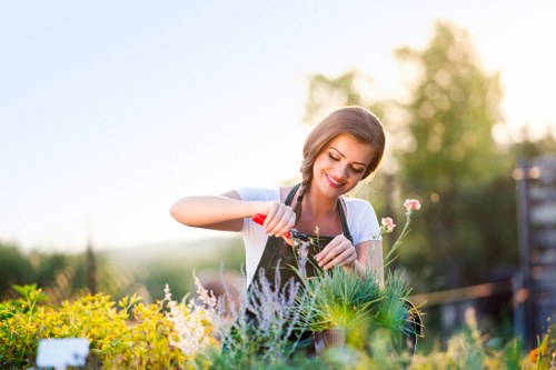 Professional tree lopping service in Anerley