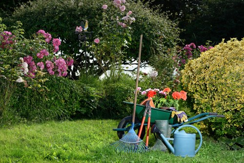 Select plants thriving in Anerley’s climate for a stunning garden