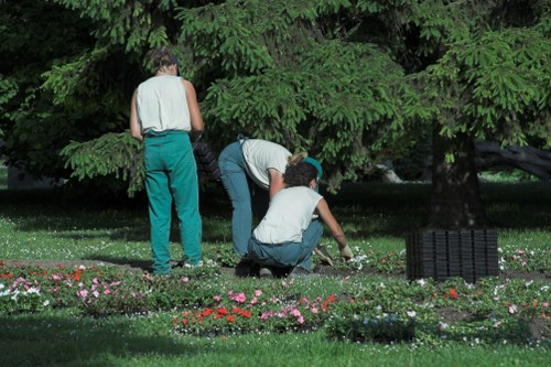 Benefits of timely garden clearance in Anerley