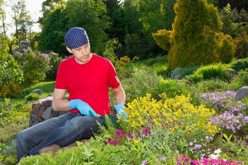 Choosing the right garden clearance service in Anerley