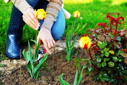 Professional installation of landscape features in Anerley's gardens