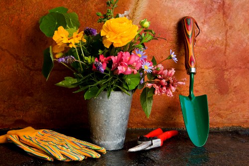 Pruning and plant care in a Anerley garden
