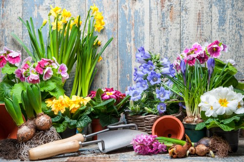 Pest control measures for gardens in Anerley